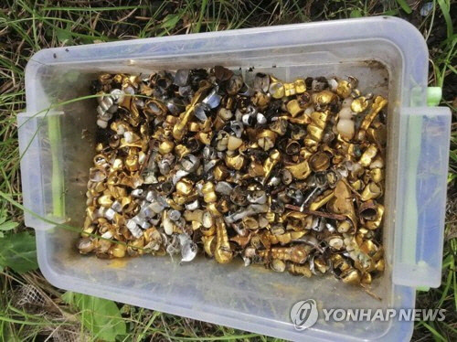 우크라이나 하르키우 피스키-라디키우스키에서 발견된 금니[AP 연합뉴스 자료사진]